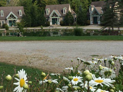 Spruce Hill &